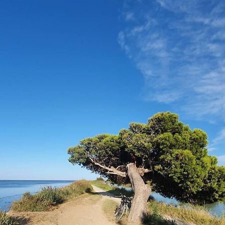 T2 Cosy A La Plage, Terrasse Vue Sur Mer Et Parking Privatif Ναρμπόν Εξωτερικό φωτογραφία