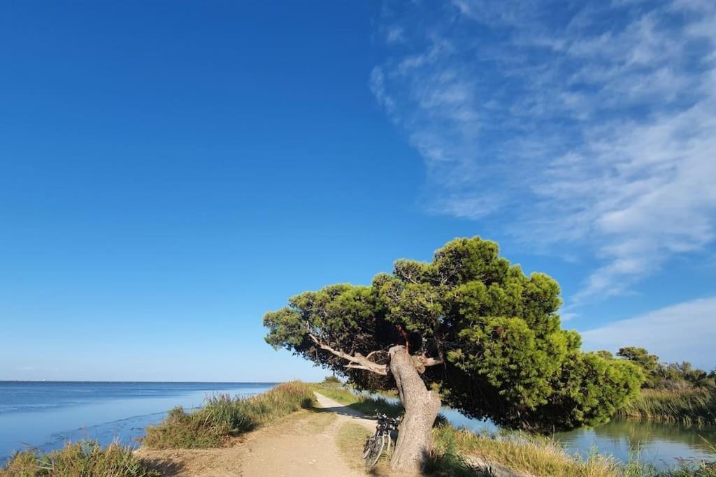 T2 Cosy A La Plage, Terrasse Vue Sur Mer Et Parking Privatif Ναρμπόν Εξωτερικό φωτογραφία